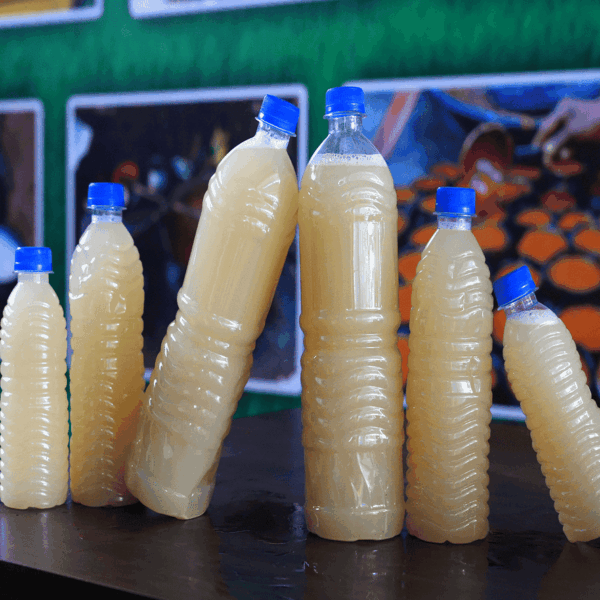 Pathani 500 ml
